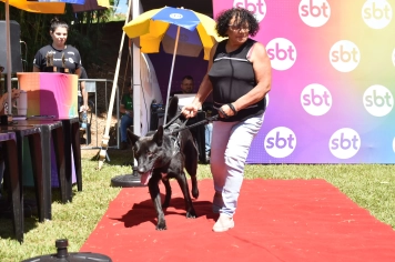 Foto - Aniversário de Botucatu - Cãopanheiro