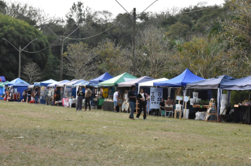 Foto - 27ª Edição da Feira do Verde/2024