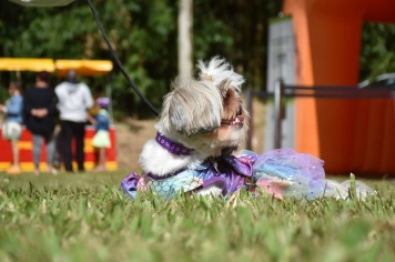 Foto - Aniversário de Botucatu - Cãopanheiro
