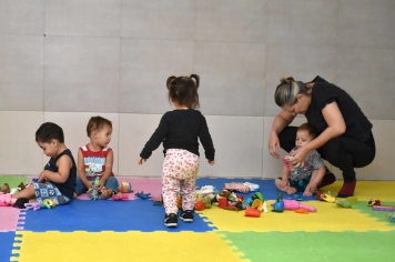 Foto - Volta às aulas 2026