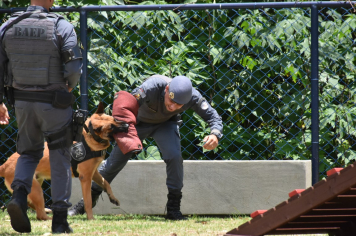 Foto - Inauguração do Parque Linear Rio Lavapés