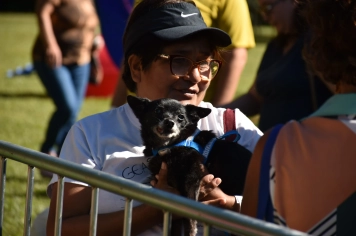 Foto - Aniversário de Botucatu - Cãopanheiro