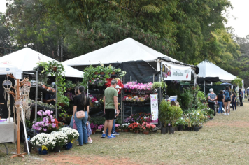 Foto - 27ª Edição da Feira do Verde/2024
