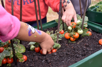 Foto - Escola municipal de educação infantil recebe novo espaço lúdico e parquinho infantil