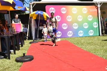 Foto - Aniversário de Botucatu - Cãopanheiro