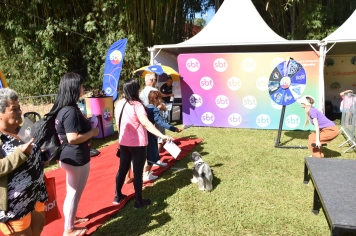 Foto - Aniversário de Botucatu - Cãopanheiro
