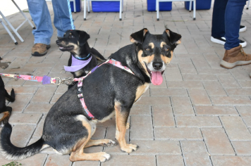 Foto - Inauguração do Parque Linear Rio Lavapés