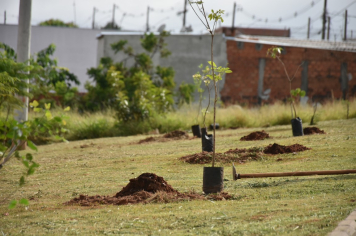 Foto - Lançamento do Programa Botucatu Cidade Viva