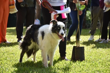 Foto - Aniversário de Botucatu - Cãopanheiro