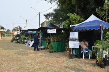 Foto - 27ª Edição da Feira do Verde/2024