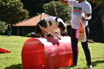 Foto - Aniversário de Botucatu - Cãopanheiro