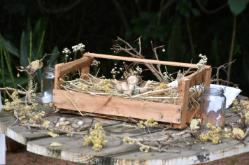 Foto - Escola do Meio Ambiente realiza premiação a alunos com o Selo EMA 2024