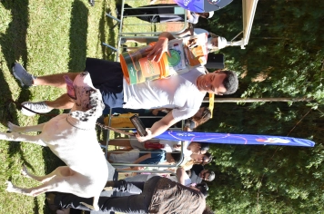 Foto - Aniversário de Botucatu - Cãopanheiro
