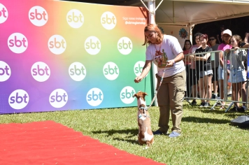 Foto - Aniversário de Botucatu - Cãopanheiro