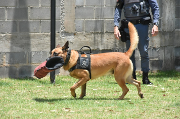 Foto - Inauguração do Parque Linear Rio Lavapés