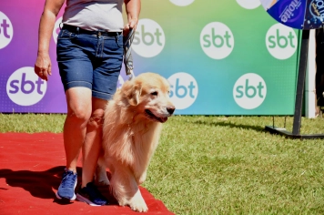 Foto - Aniversário de Botucatu - Cãopanheiro