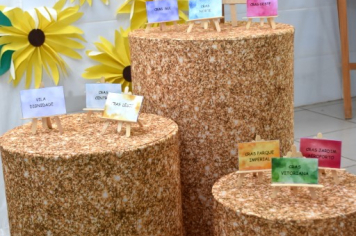 Foto - Secretaria de Assistência Social realizou 3º Encontro dos Serviços de Convivência e Fortalecimentos dos vínculos para atendidos dos Cras