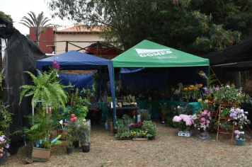Foto - 27ª Edição da Feira do Verde/2024