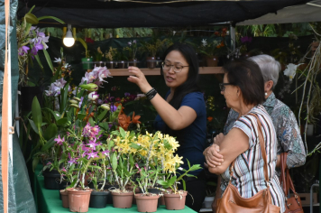 Foto - 27ª Edição da Feira do Verde/2024