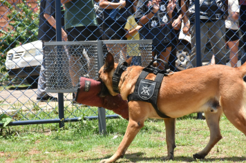 Foto - Secretaria de Saúde entrega tablets a Agentes Comunitários de Saúde de Botucatu
