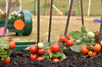 Foto - Escola municipal de educação infantil recebe novo espaço lúdico e parquinho infantil