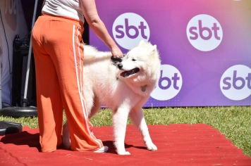 Foto - Aniversário de Botucatu - Cãopanheiro
