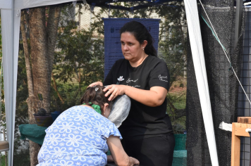 Foto - 27ª Edição da Feira do Verde/2024