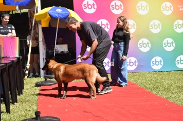 Foto - Aniversário de Botucatu - Cãopanheiro