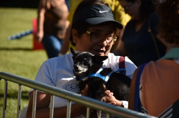 Foto - Aniversário de Botucatu - Cãopanheiro