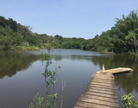 Escola do Meio Ambiente recebeu mais de 15 mil visitantes em 2024