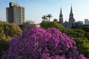 Dia Nacional do Turismo: por que Botucatu recebeu o título de Estância Turística?