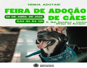 Canil Municipal promove nova Feira de Adoção de cães neste domingo, 06