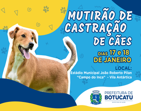 Prefeitura realizará mutirão de castração gratuita para cães na Vila Antártica