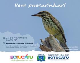 Observação de Aves com o Programa 
