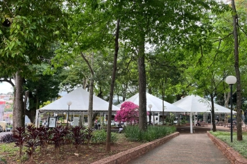 Feira de Saúde promove serviços e cuidados gratuitos neste sábado, 8