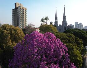 Prefeitura convida profissionais de turismo para Road 60+ SP na próxima terça, 26