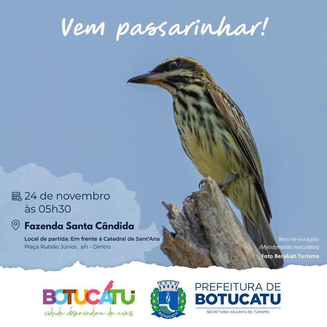 Observação de Aves com o Programa 