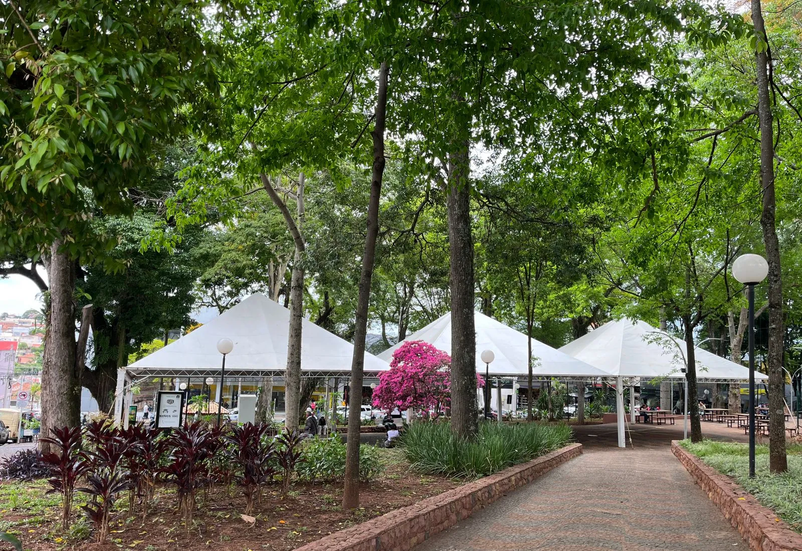 Feira de Saúde promove serviços e cuidados gratuitos neste sábado, 8
