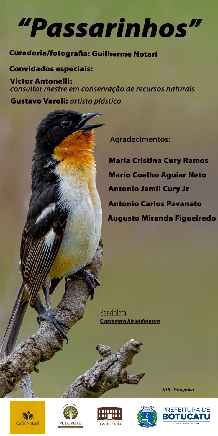 Pinacoteca Fórum das Artes receberá Exposição 